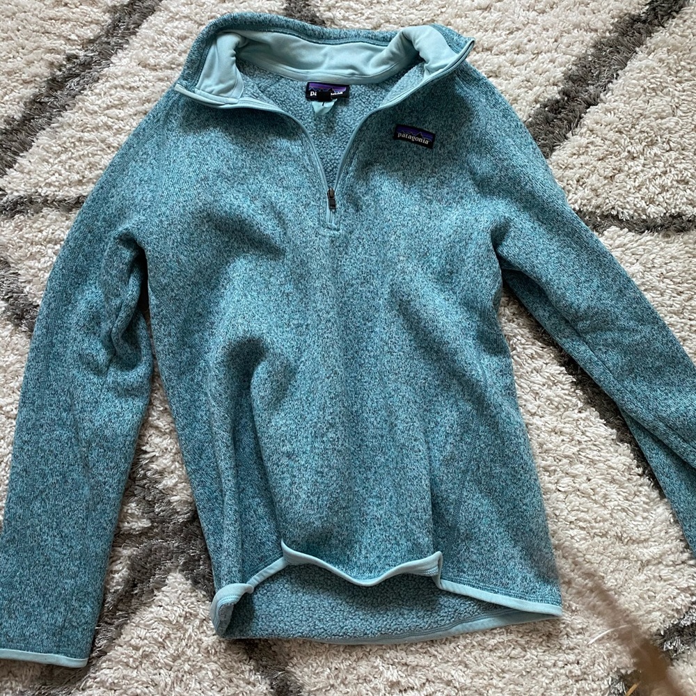 Blue Patagonia Sweatshirt